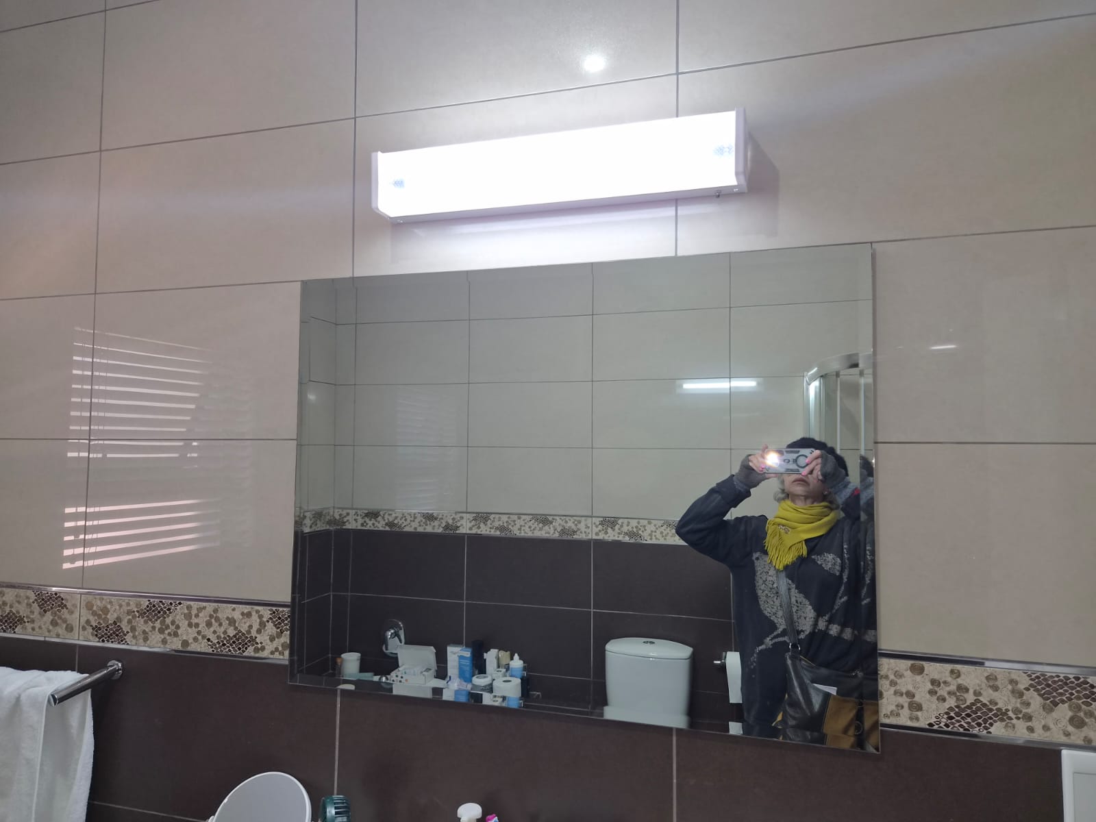 Original Wall Mirror & Fixtures